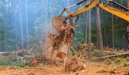 Land Clearing & Lot Clearing Services