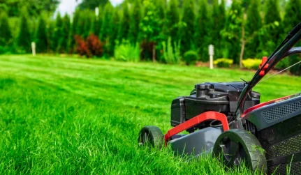 Lawn Mowing & Lawn Maintenance Services
