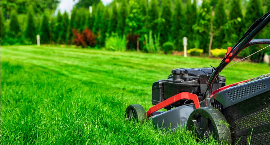 Lawn Mowing & Lawn Maintenance Services