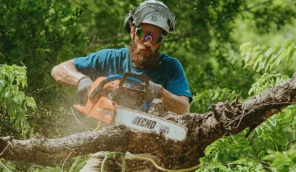 Tree Trimming, Pruning & Tree Care Services